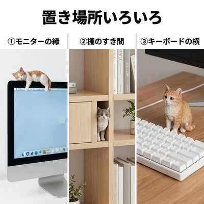 置き場所いろいろ