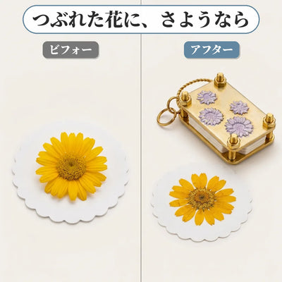 ビフォーアフター