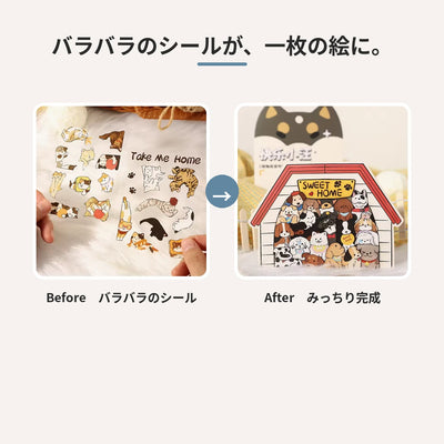 貼る前と完成後 (before and after)
