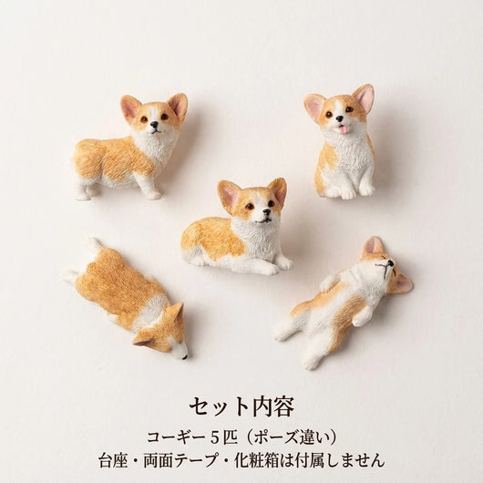 セット内容 5匹
