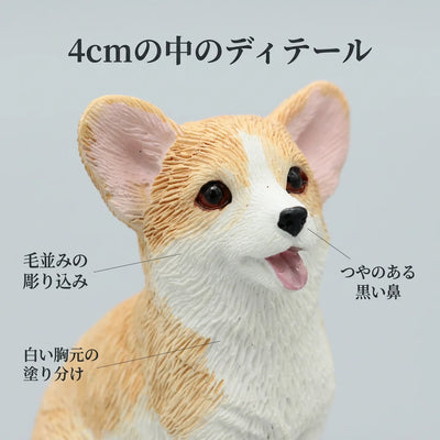 毛並みのディテール