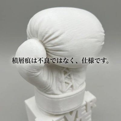 LACIAGA ネバーギブアップ ボクシンググローブ