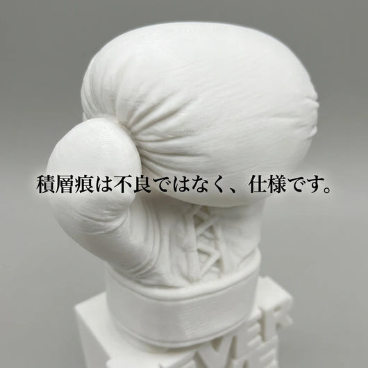 LACIAGA ネバーギブアップ ボクシンググローブ