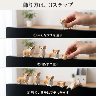 置き方3ステップ