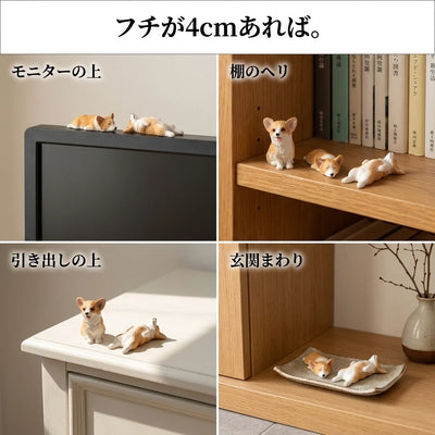 ふちに並べる
