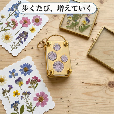 押し花コレクション