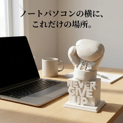 LACIAGA ネバーギブアップ ボクシンググローブ