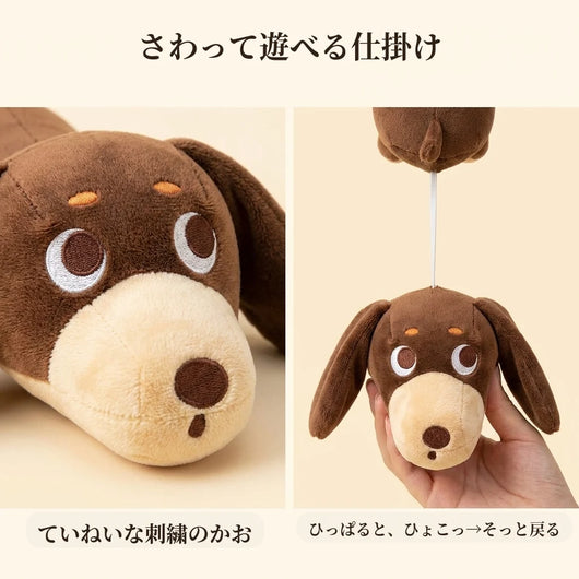 頭を包む形状