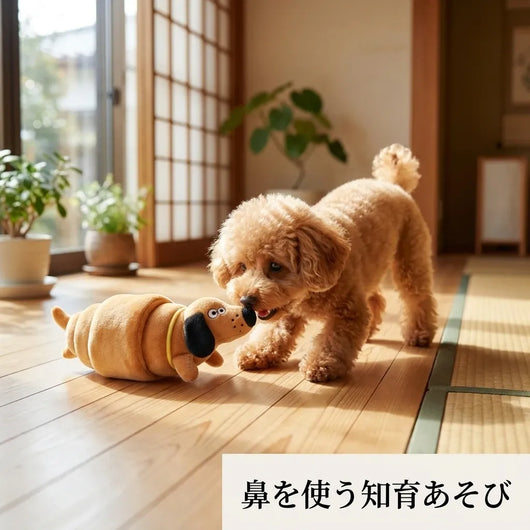 LACIAGA クロワッサン ノーズワーク