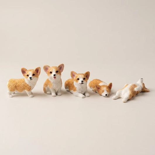 レッド＆ホワイト 5匹セット