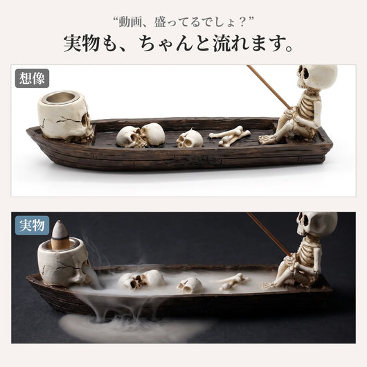 動画と実物の比較