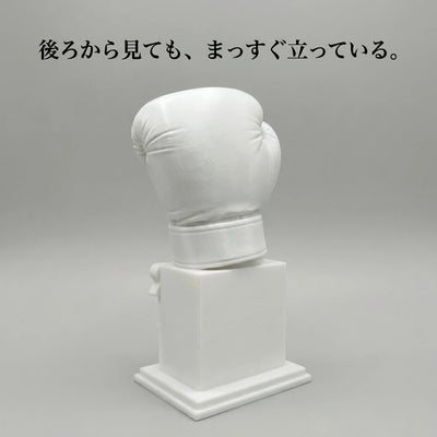 LACIAGA ネバーギブアップ ボクシンググローブ