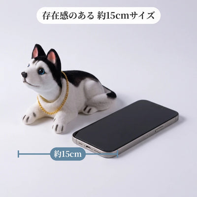 約15cmのサイズ比較