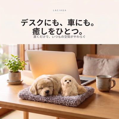 03-desk-lifestyle