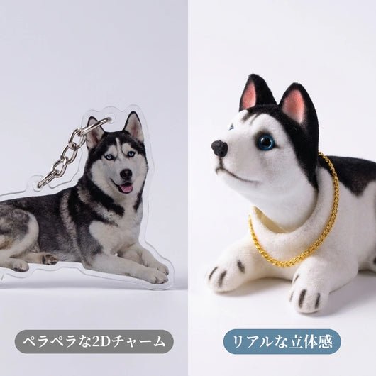2Dチャームとのリアルさ比較