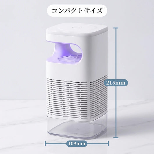 本体サイズ