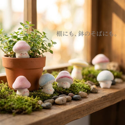 棚や鉢のそばに