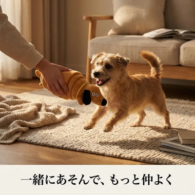 LACIAGA クロワッサン ノーズワーク