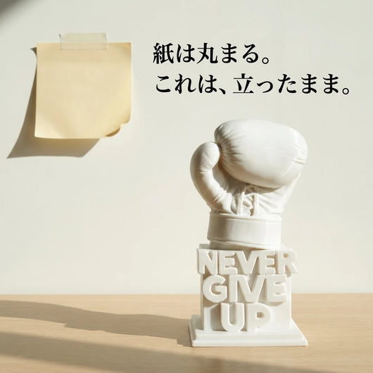 LACIAGA ネバーギブアップ ボクシンググローブ