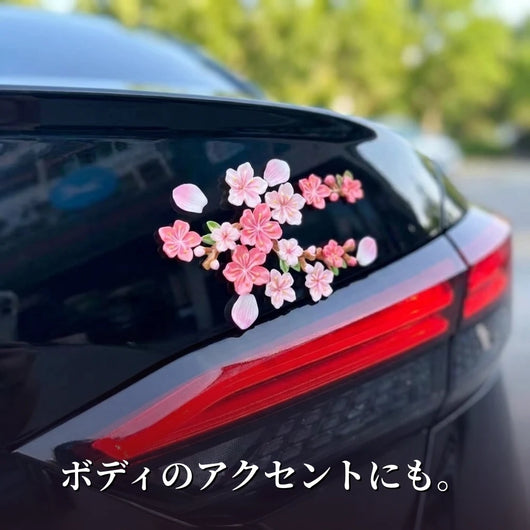 ボディのアクセント