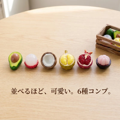 6種コンプ