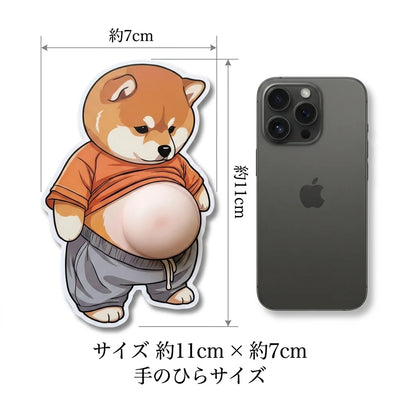 サイズ