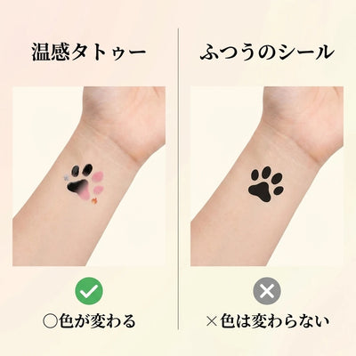 変化前後の比較画像
