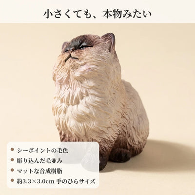 LACIAGA おすましシャム猫
