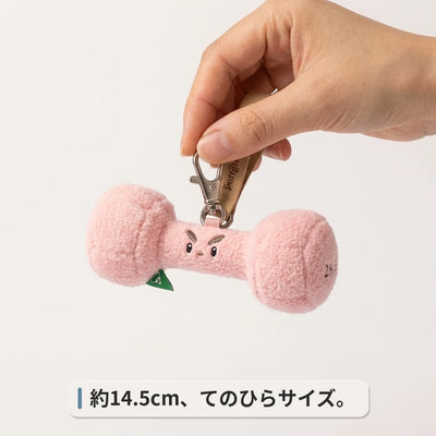 約14.5cm