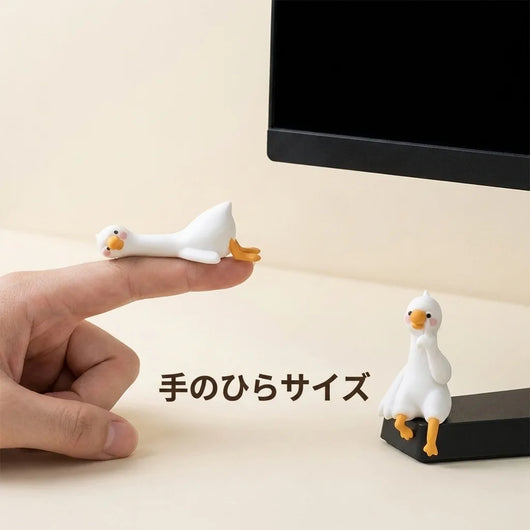 サイズ