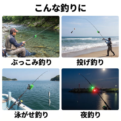 こんな釣りに ぶっこみ 投げ 泳がせ 夜釣り