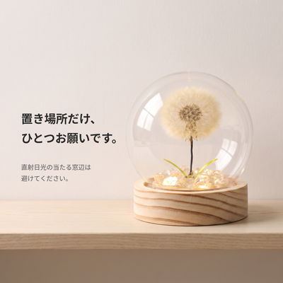 直射日光を避けた置き場所のご案内