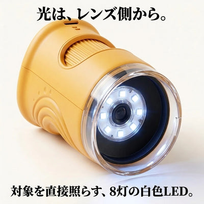8灯LED