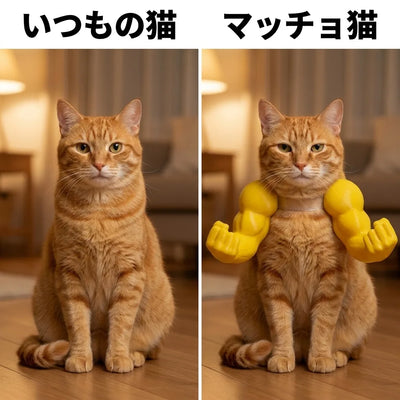 ビフォアアフター
