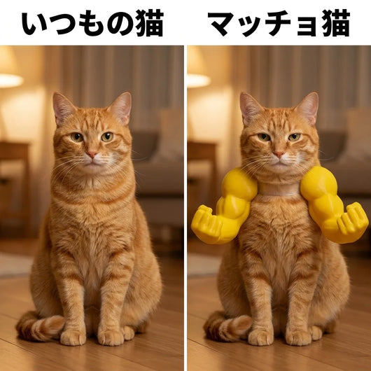 ビフォアアフター