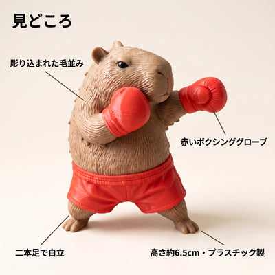 見どころ
