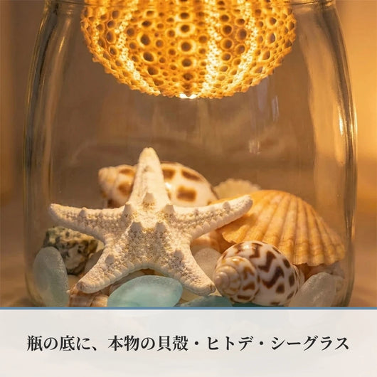 LACIAGA 瓶の中の海 ソーラーランプ
