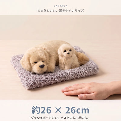 06-size-scale