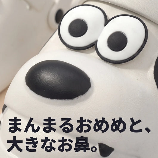 顔アップ