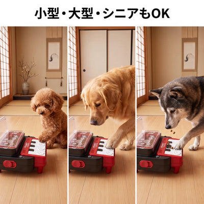 犬種OK