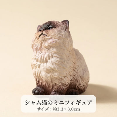 LACIAGA おすましシャム猫