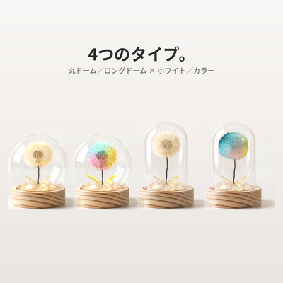 4つのタイプのラインナップ