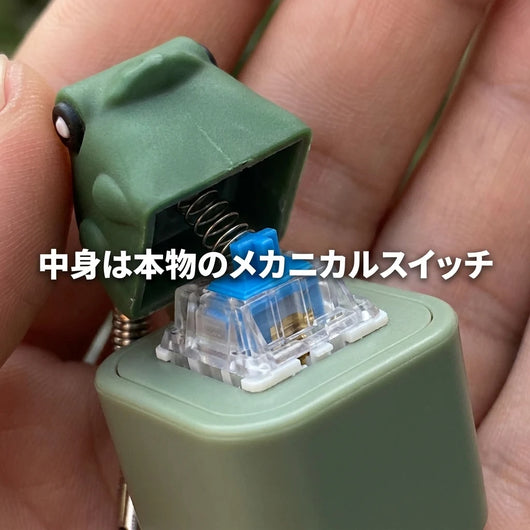 本物のメカニカルスイッチ