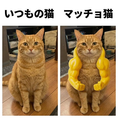 ビフォアアフター