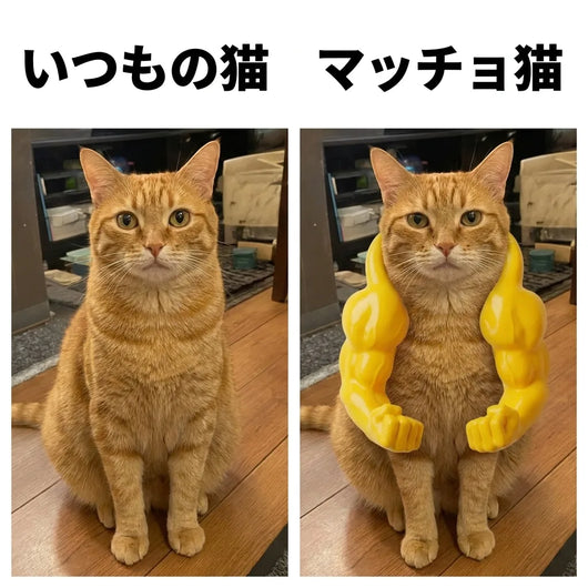ビフォアアフター