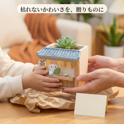 ギフトイメージ