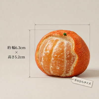 サイズ表示：約 幅6.3cm × 高さ5.2cm、手のひらサイズ。