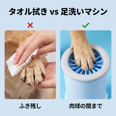 比較