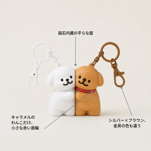 特徴紹介