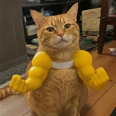 マッチョ猫